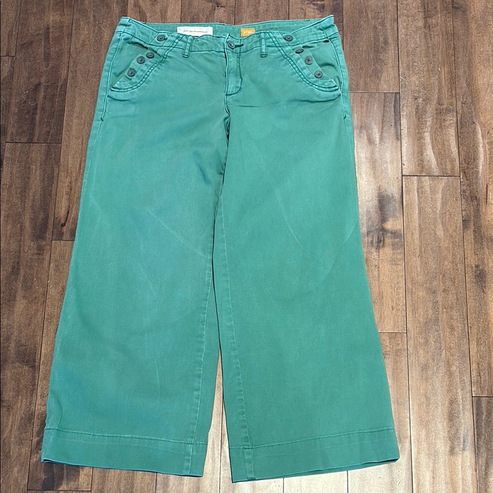 30 Pilco and the Letterpress Anthropologie Green Lowrise Wide-Leg crop Pant